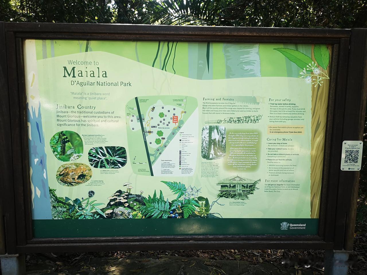 澳洲短期居家生活纪实（22）丨迈亚拉国家公园雨林漫步

迈亚拉（Maiala）是