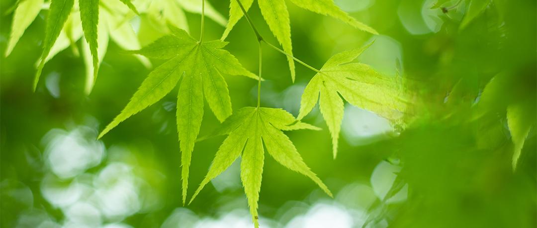 朋友说，为什么女儿结了婚，就变的冷漠、自私了。
原来朋友上个月住院，女儿一次都没