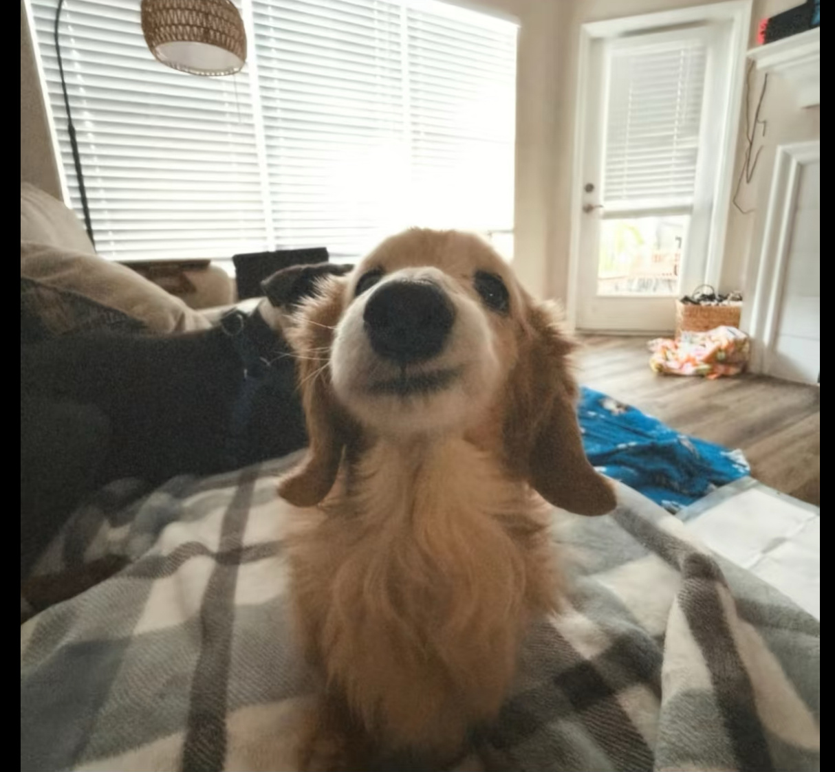 玩加早安 大家早上好呀 这周末有什么安排嘛2025lpl2025lck