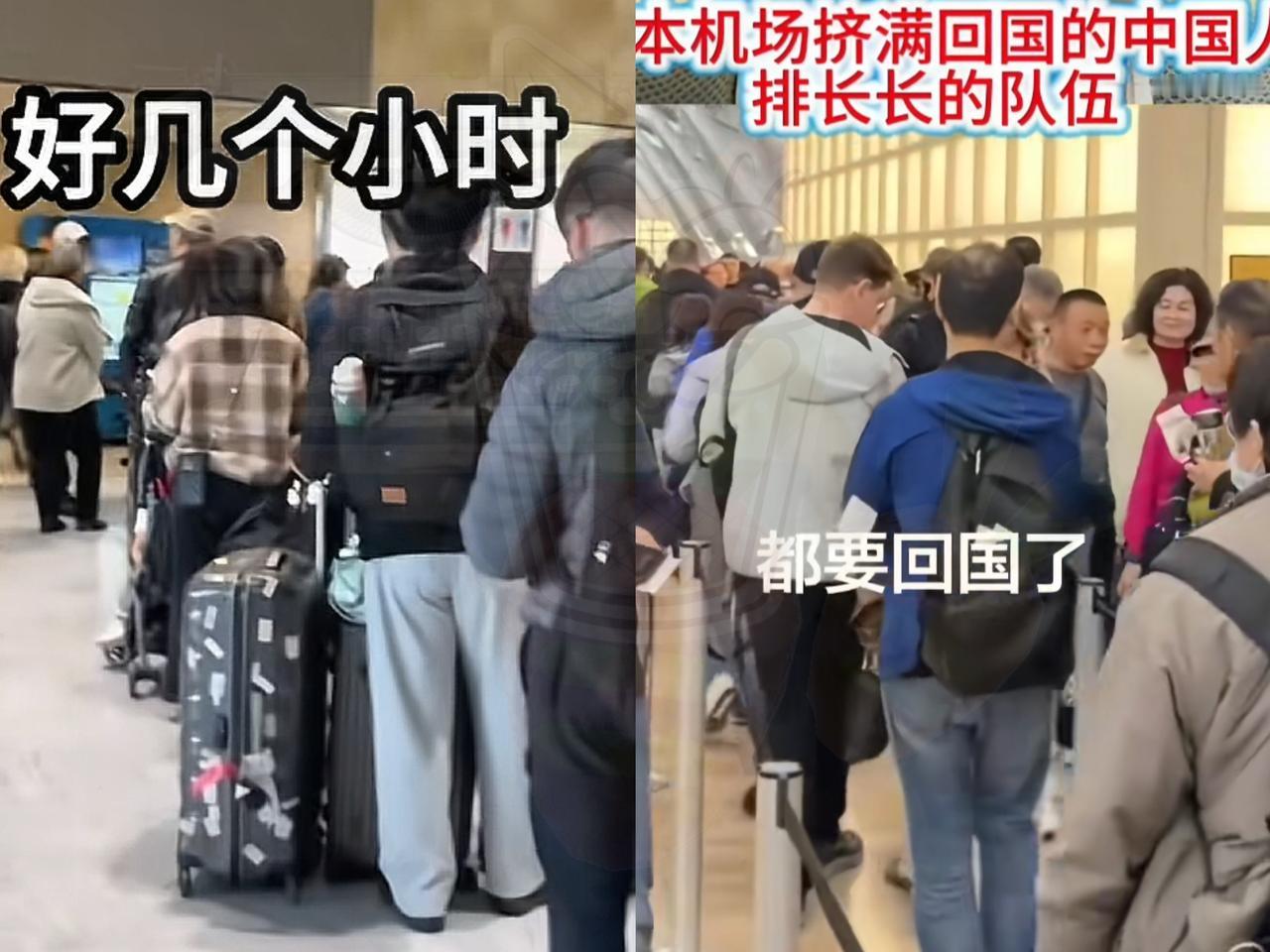 这就是不听劝的代价！
这下后悔了吧！
日本机场成"回国渡劫现场"

之前国家反复
