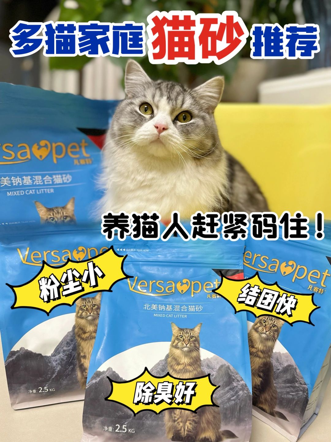 平价又好用|多猫家庭放心冲❗️