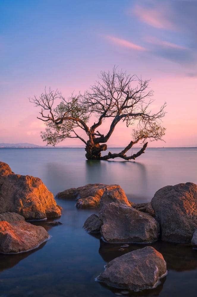 凡经不起思维考验的东西，一定不是真正的货色，凡不愿听取意见和不敢被考问的东西，当