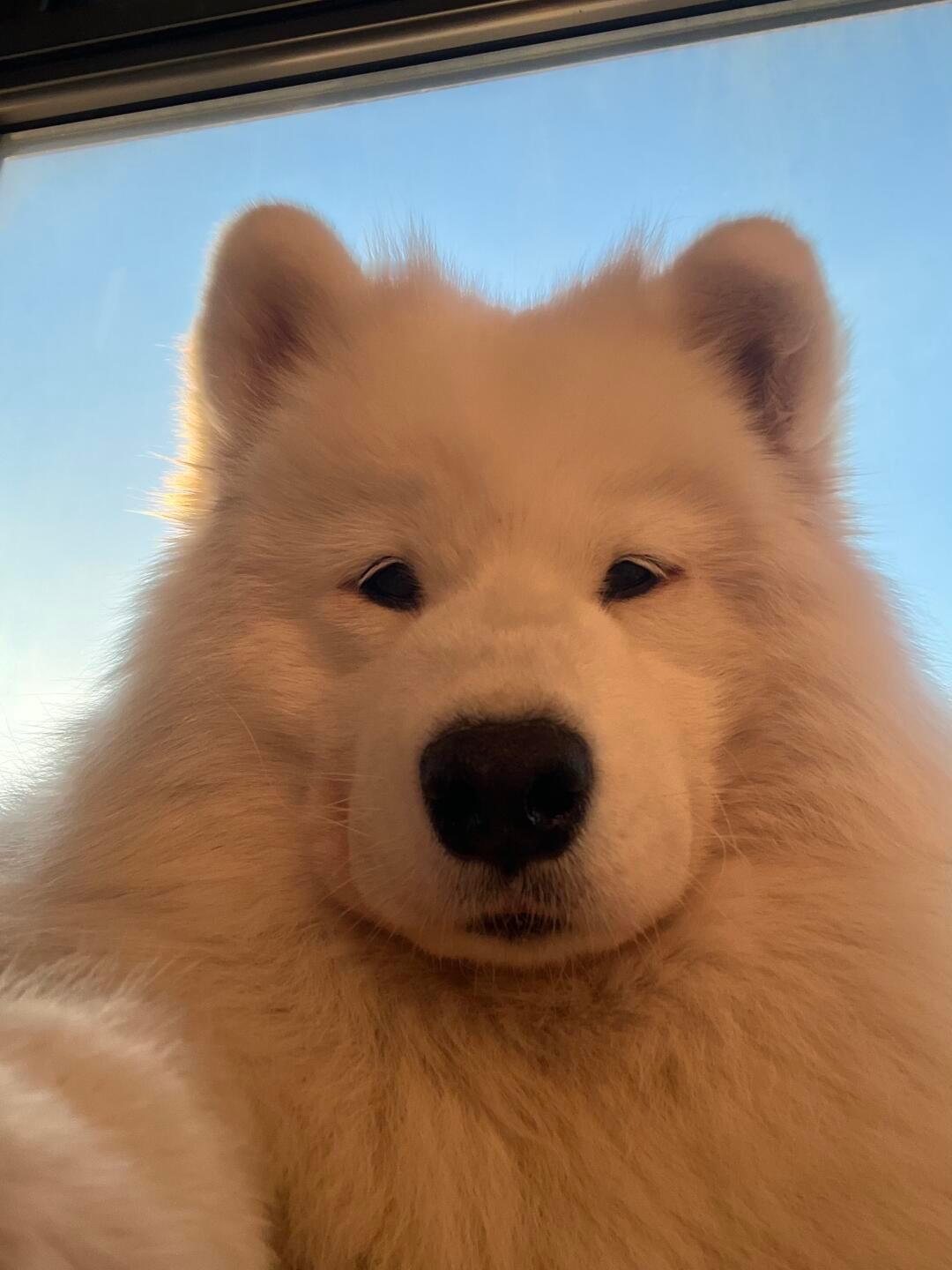 人，周四了，再坚持一下 