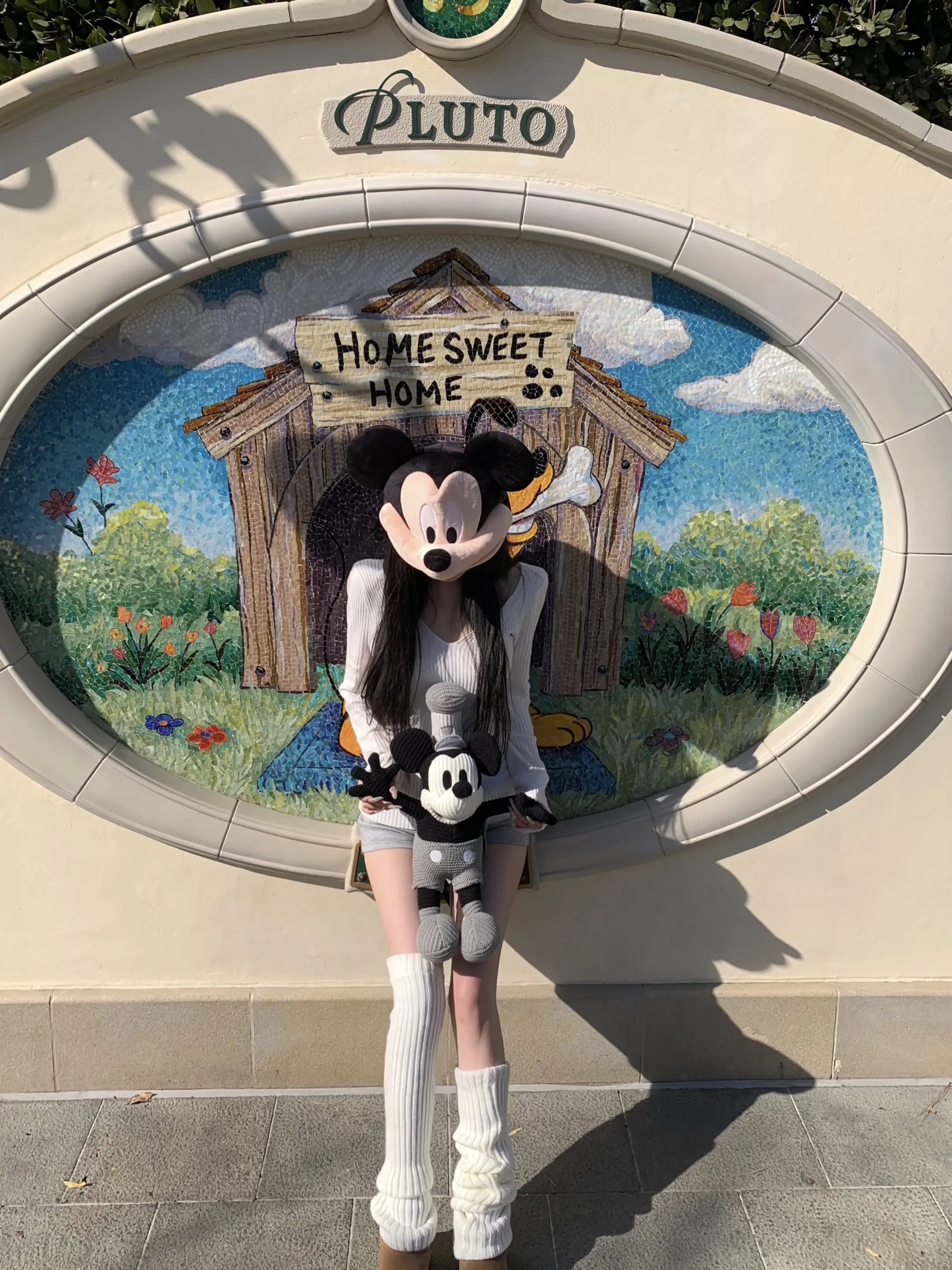 ₊⁺ 𝑫𝒊𝒔𝒏𝒆𝒚 🏰 ⋆。