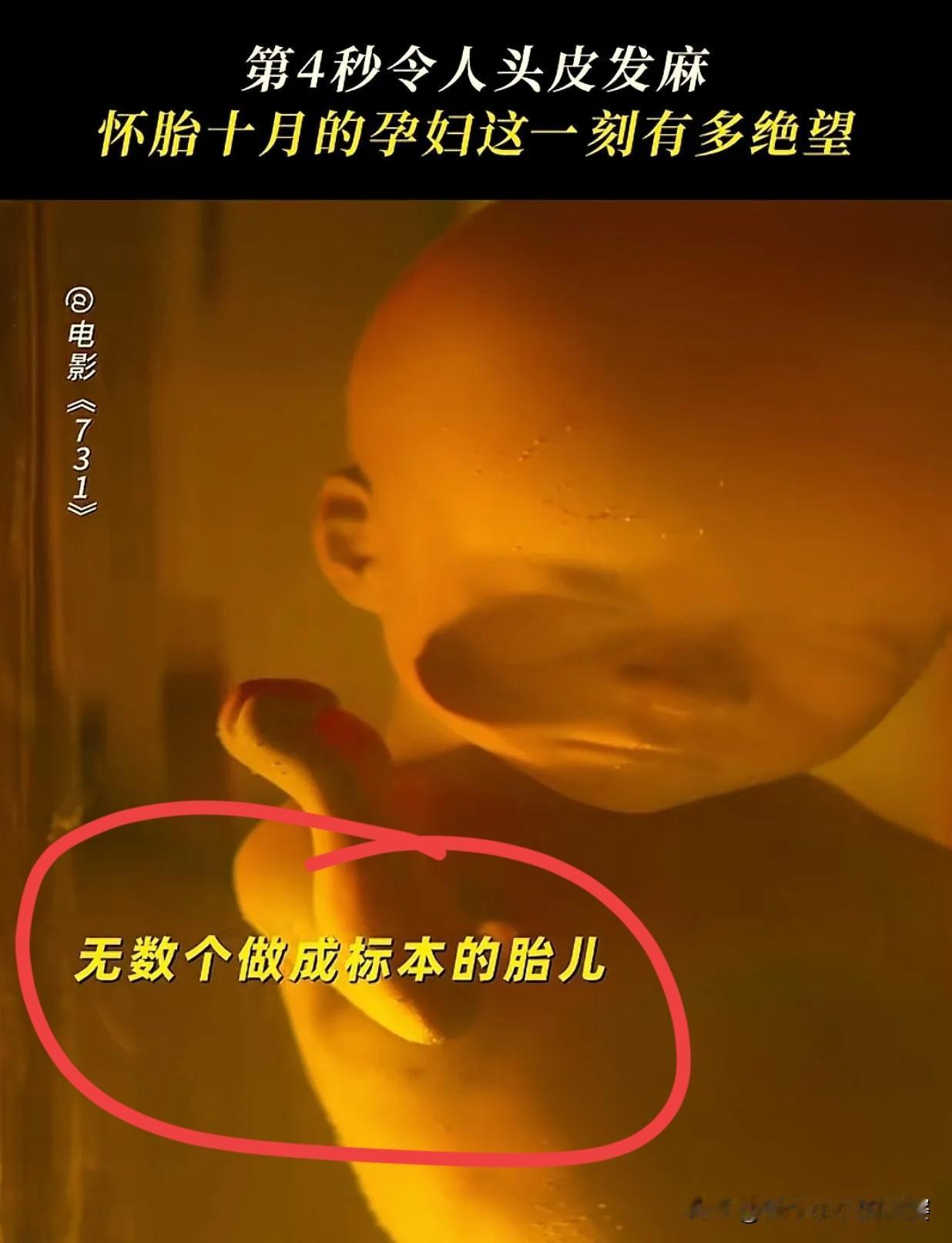 刚看完《731》电影，警告大家，
看《731》电影不能和女朋友两个人去看，
如果