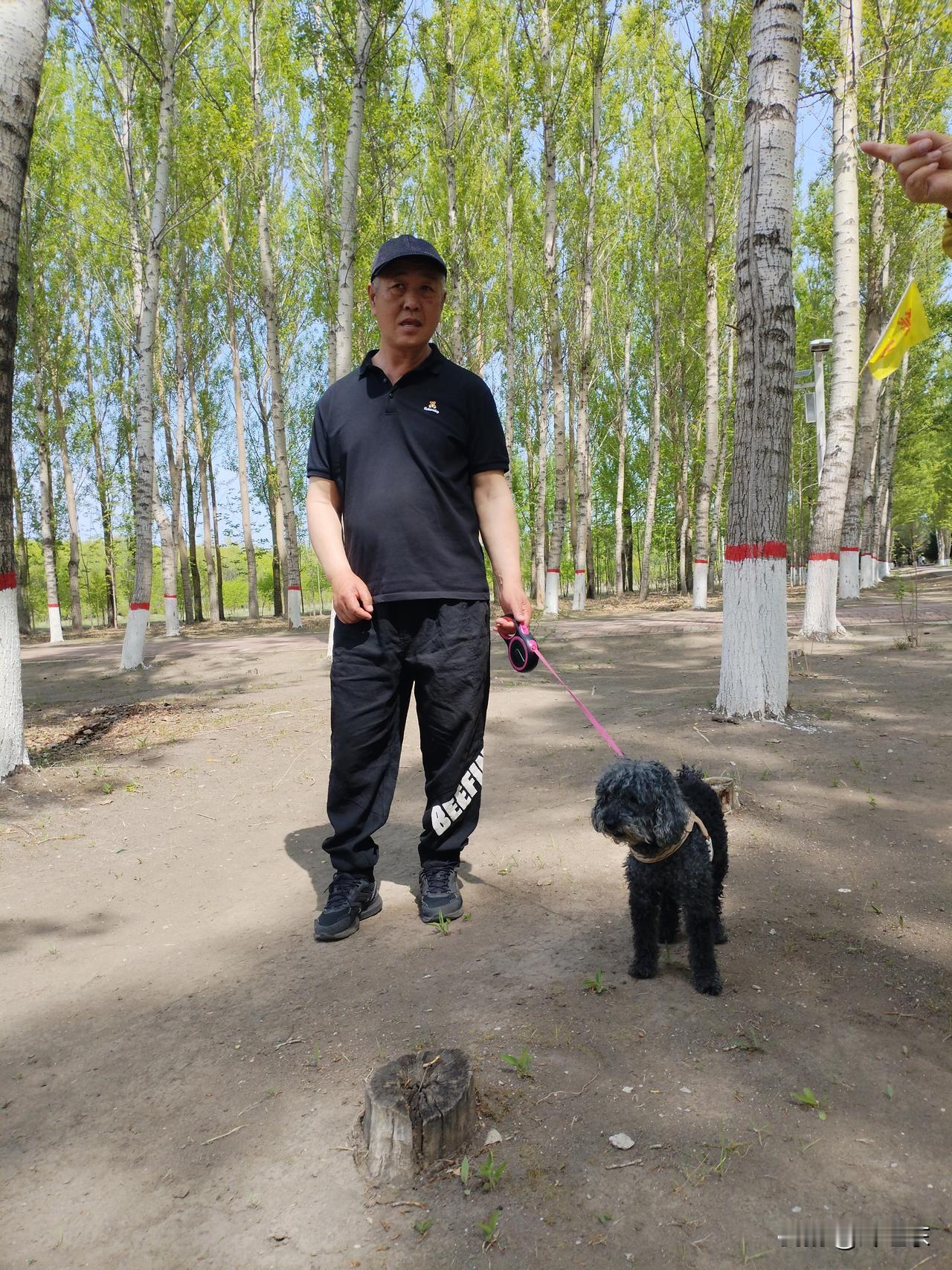 特朗普如果下台了，美国会怎么样？
   我的看法是，即便是特朗普下台了，再换一个