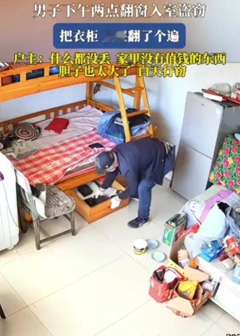 见过笨贼，没见过运气这么差的笨贼。

网上刷到一段视频，一只看起来很聪明的笨贼，