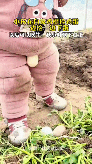 鸡看了都沉默！这届人类幼崽已经卷到亲自下蛋了

本来只是跟着大人来鸡棚体验生活，