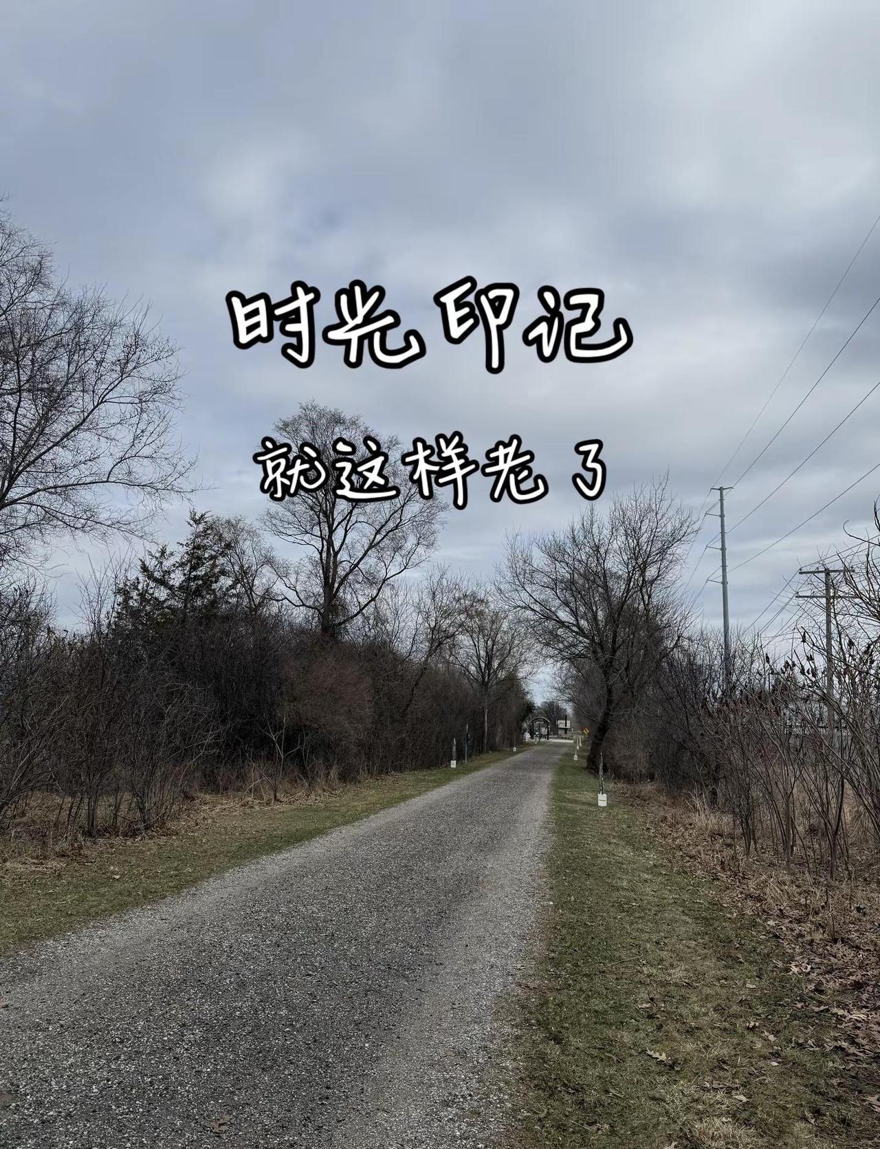 见过风雨，也见过暖阳，只愿，岁岁平安，年年无恙。就这样老了乡间小路美景 治愈生活