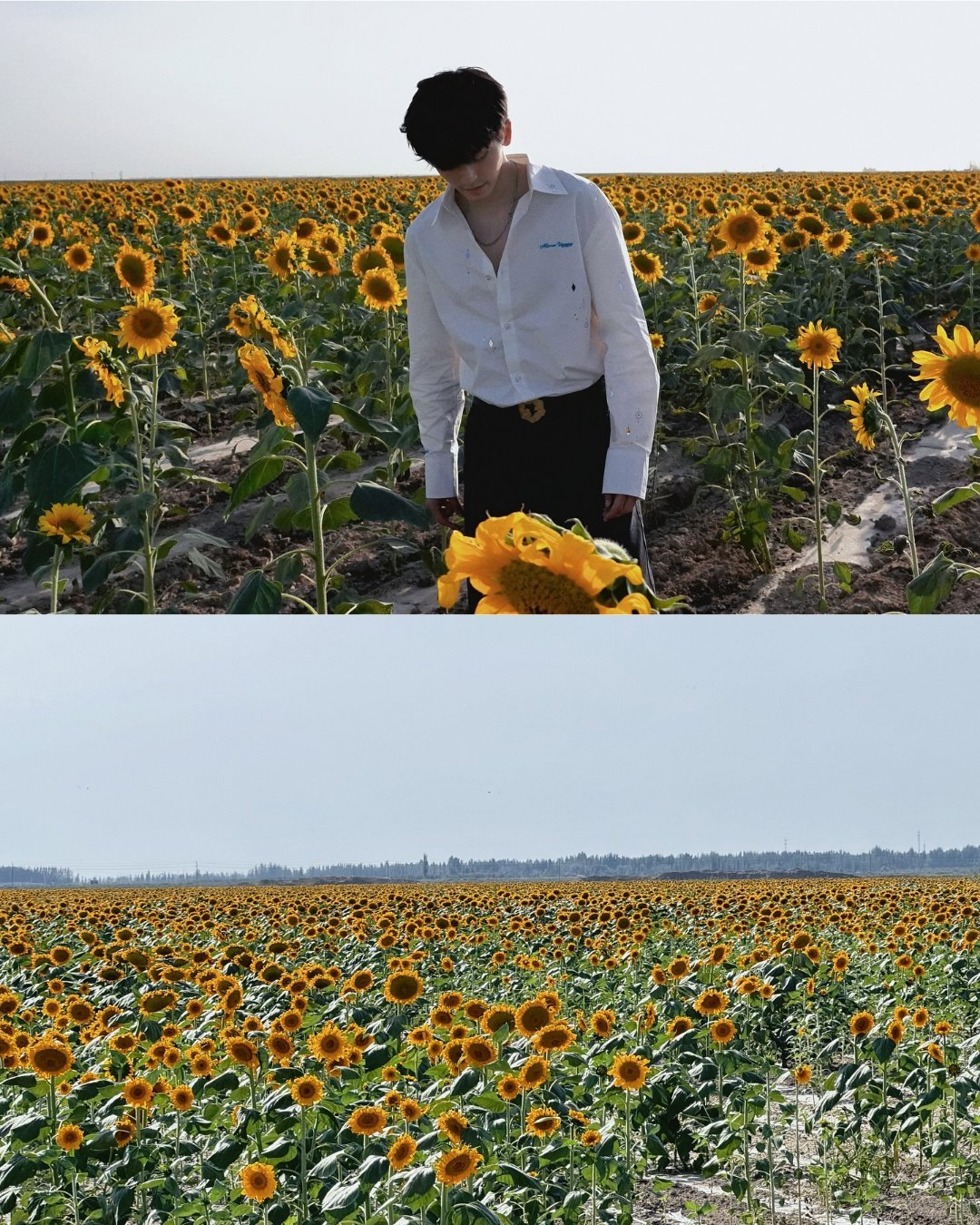 目前难以用言语形容的一种感觉🌻Cr:ig:zhangzhehan_super3