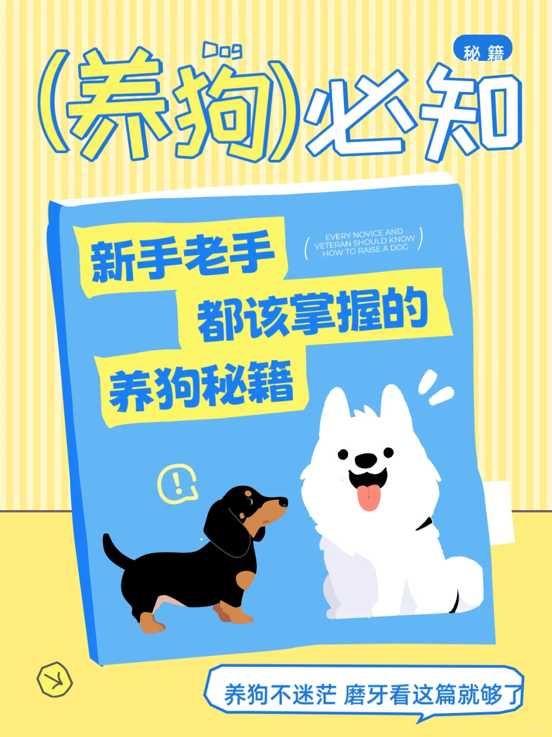 养狗不能错过的时期——磨牙期