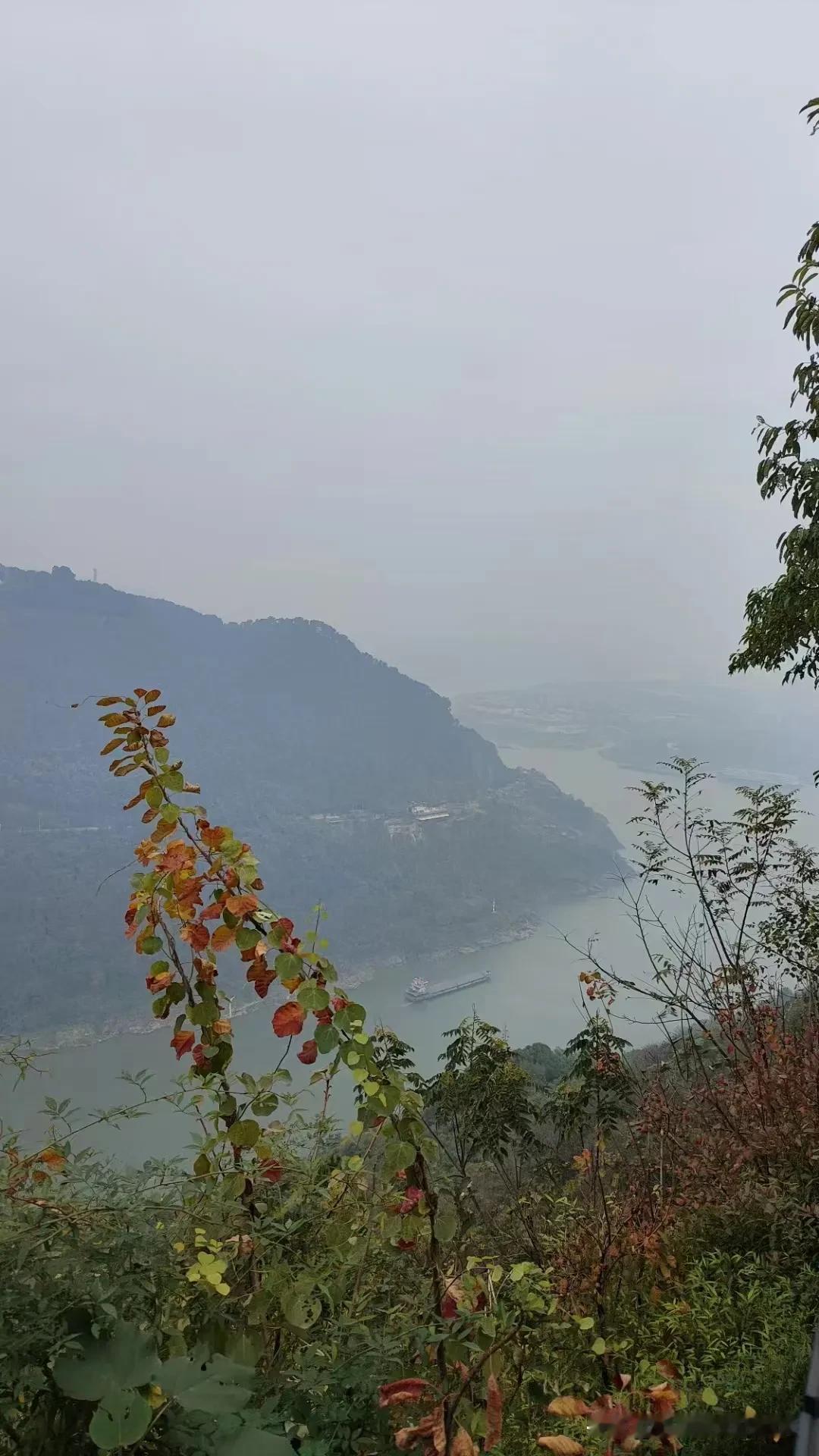 冬日生活打卡季勇立潮头，看大江东去