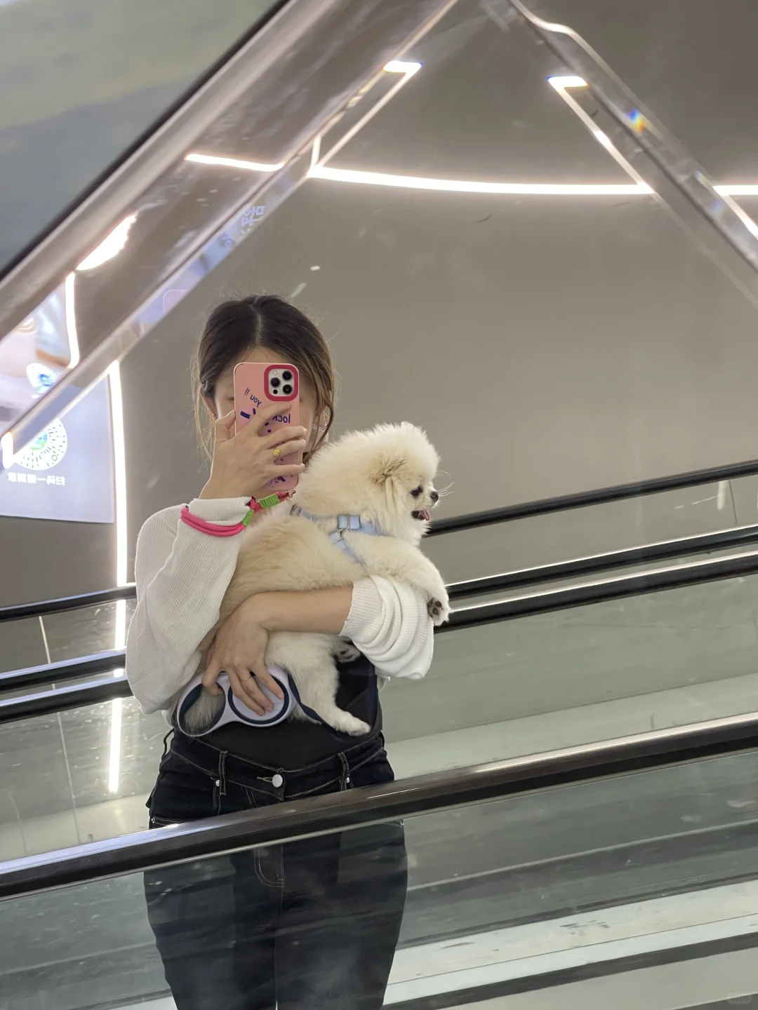 抱着一头猪
