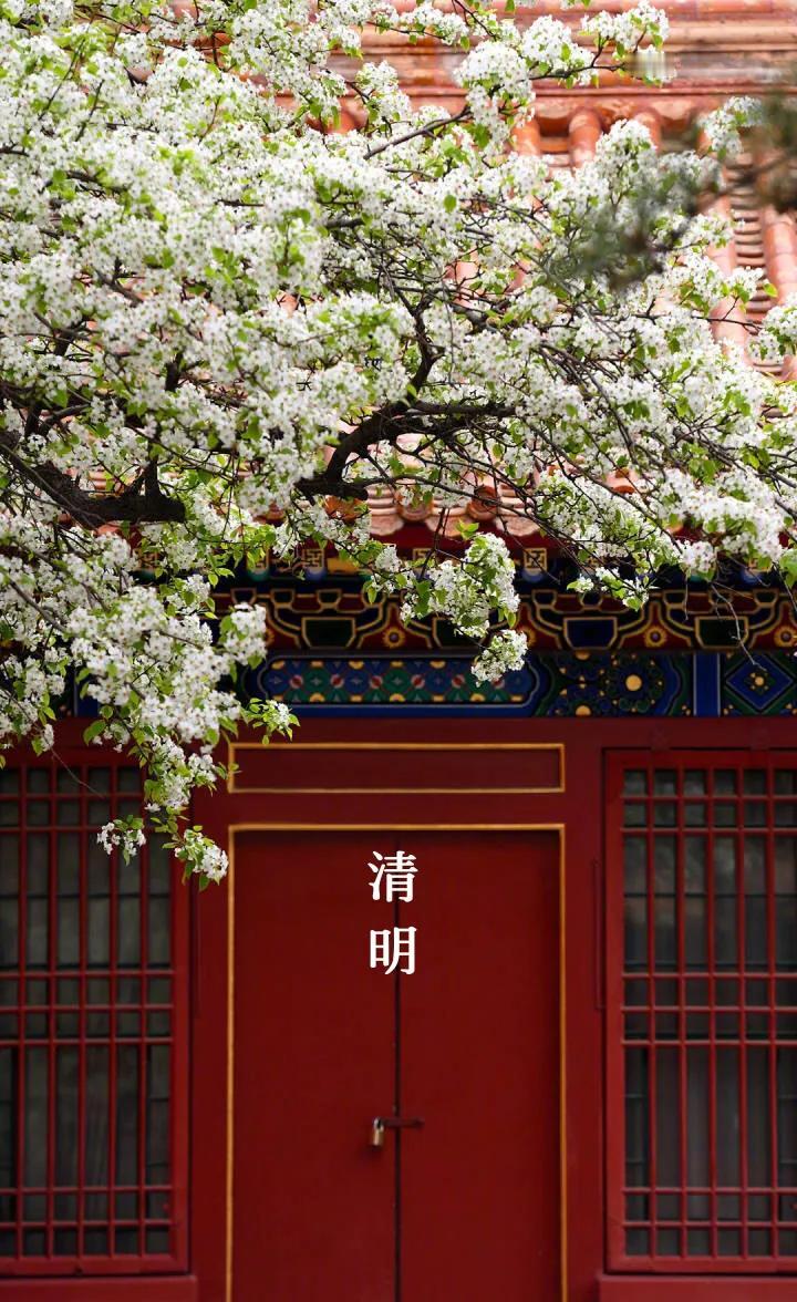 又是一年清明时

「清明」《淮南子天文训》中说：春分后十五日，斗指乙，则清明风至