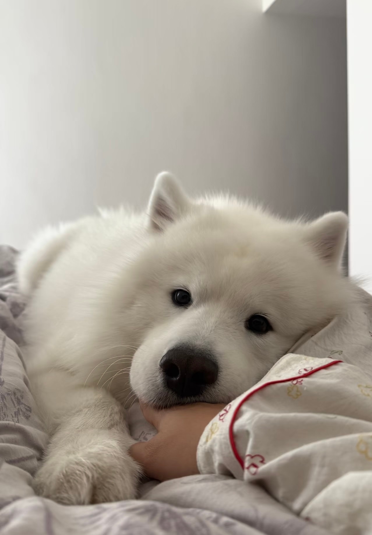 人，能不能不去上班在家陪我耶 