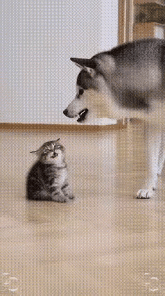 恶的怕楞的
愣的怕不要命