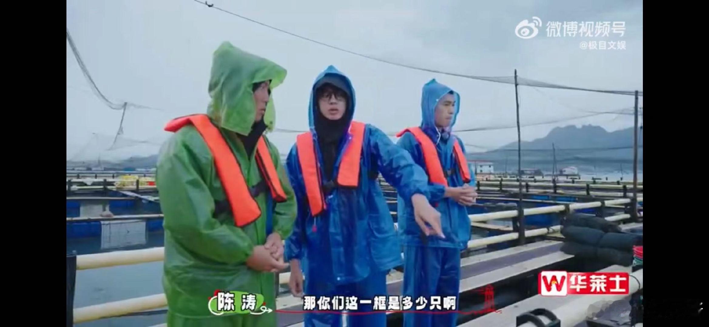 #一网箱居然能住5万尾大黄鱼#对于这个网箱来说也是非常的大容量，而且能够一下子装