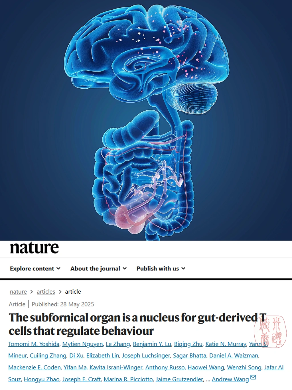 Nature重磅-大脑首次发现T细胞 改写教科书