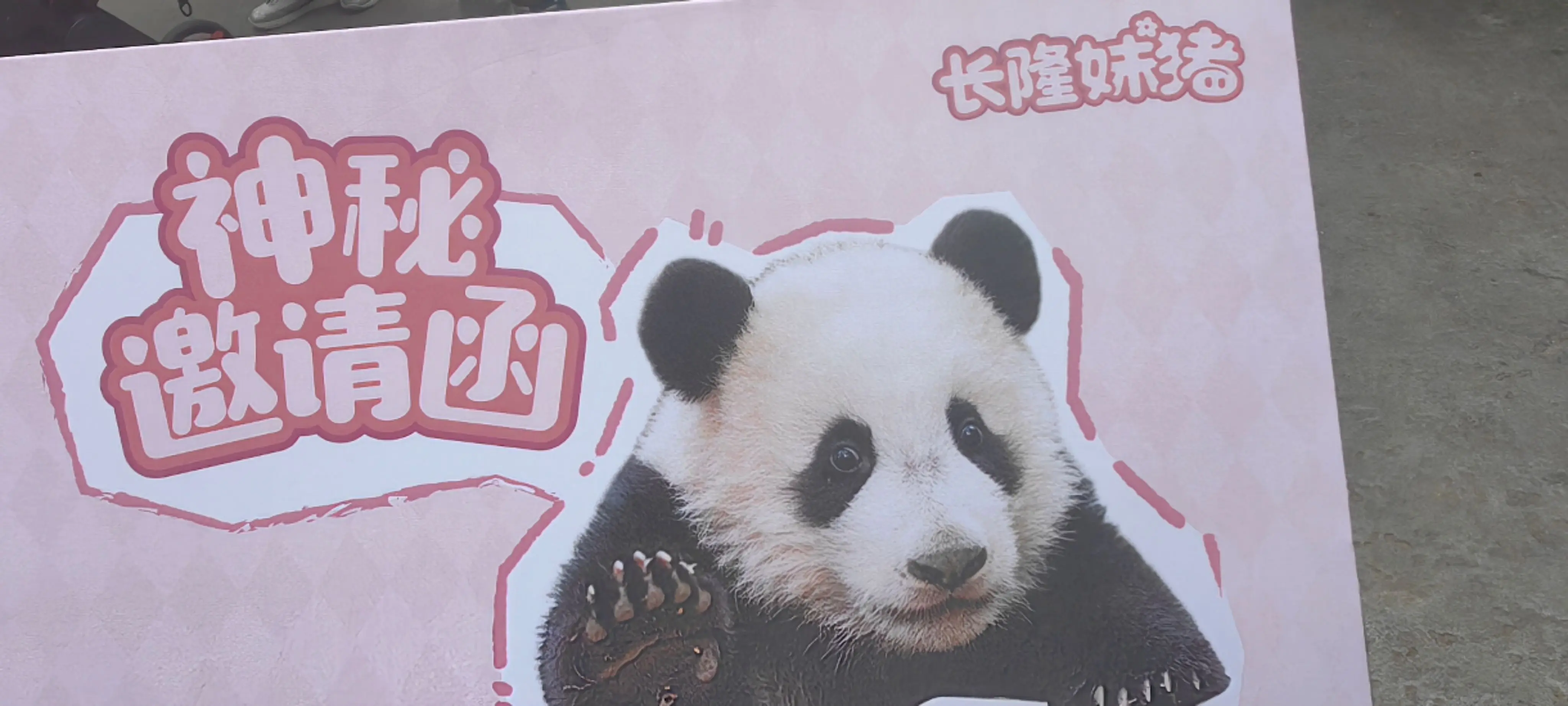 神秘邀请函😎