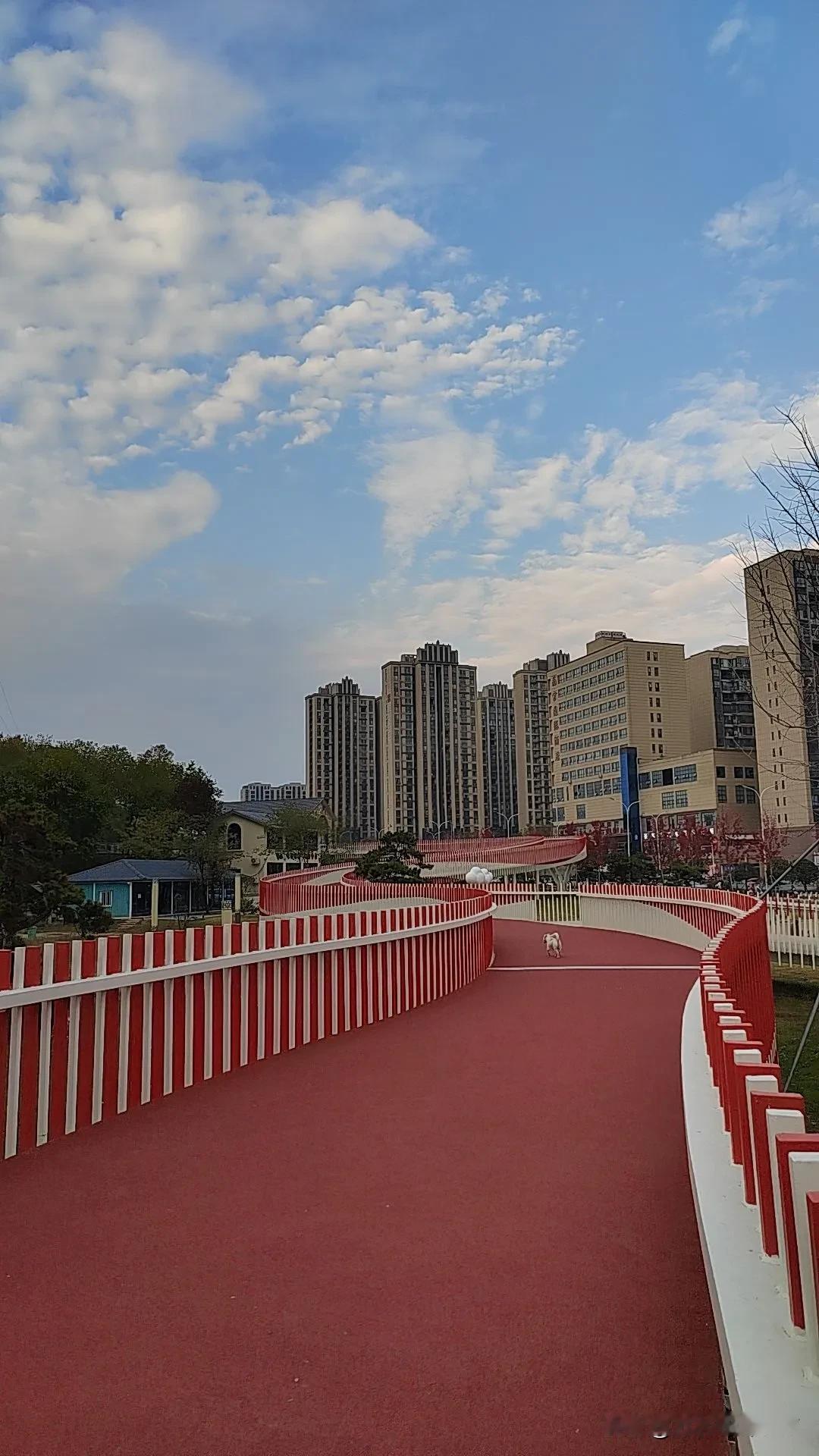 #用一张照片记录生活#信阳城市绿廊欢迎您！