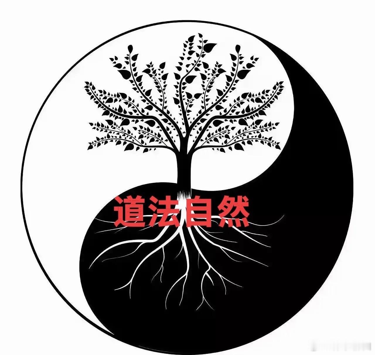 明日关注四大热点1、玻璃基板（MicroLED/先进封装）沃格光电、京东方A、东