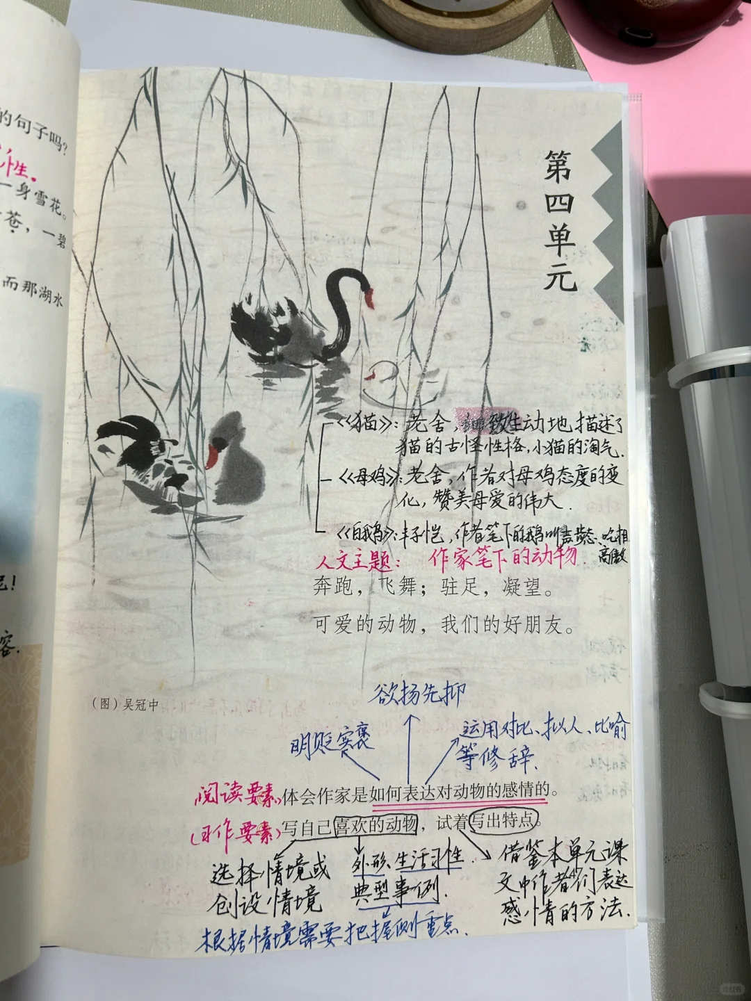 四下语文备课13《猫》