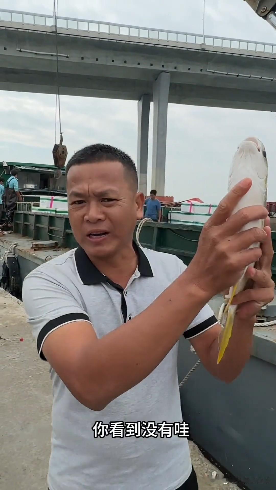 全红婵爸爸又出海捕鱼啦，今天他给网友们推荐的家乡特产是“湛江金鲳鱼”，鱼的个头好