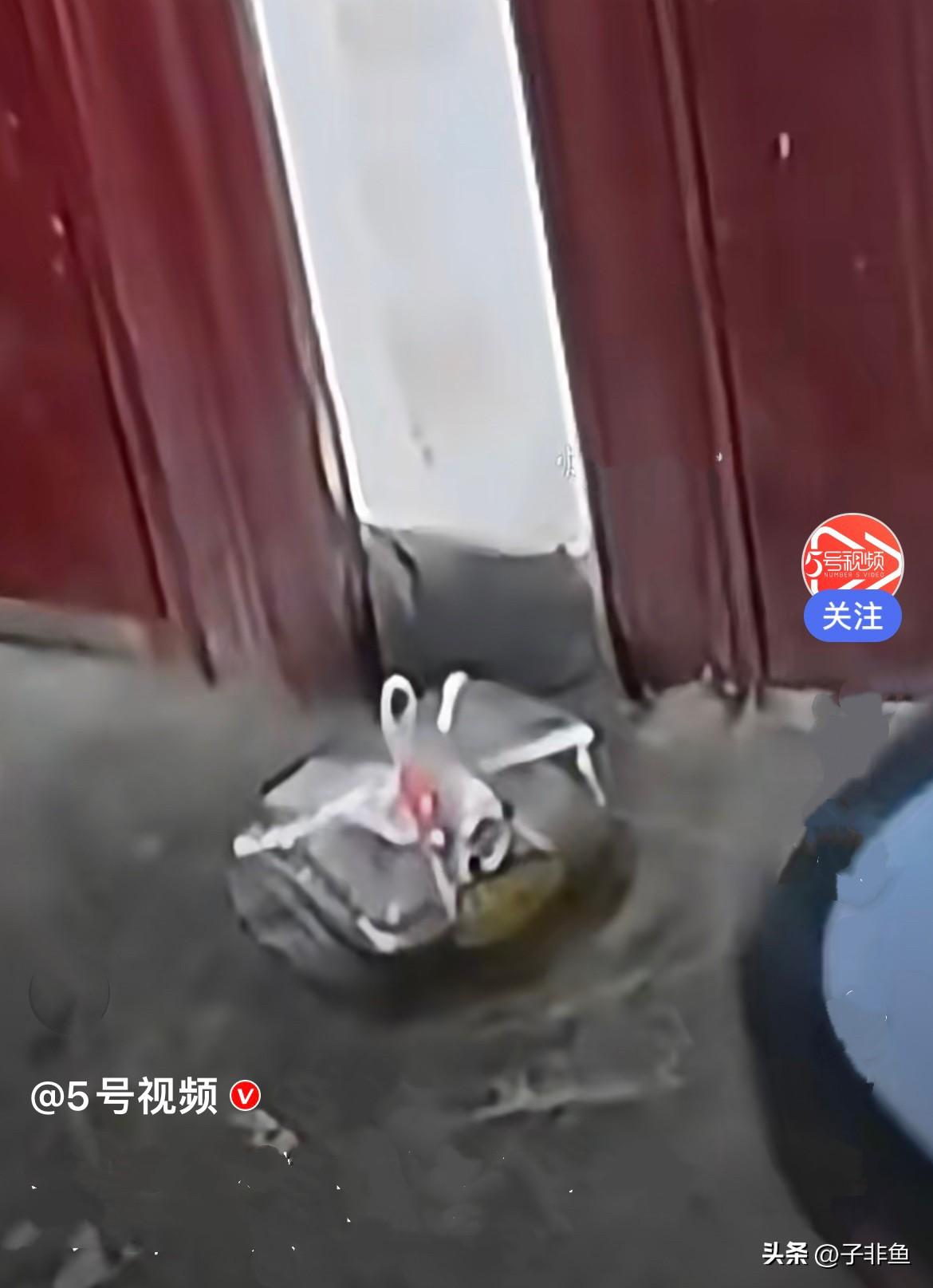 近日，天津一外卖小哥送餐到住户门口，打电话提醒女孩取餐。没想到电话那头的小姑娘情