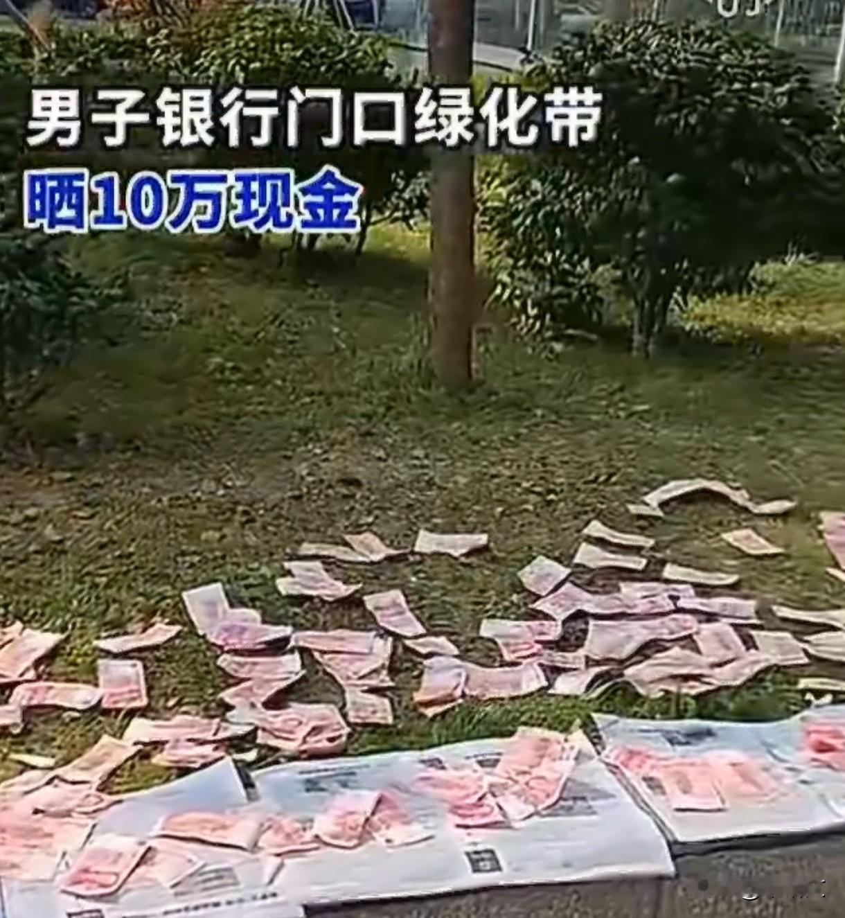 成都大哥绿化带晒10万现金！报纸摊开晾受潮钱，全程淡定没人抢！
 
成都天府大道