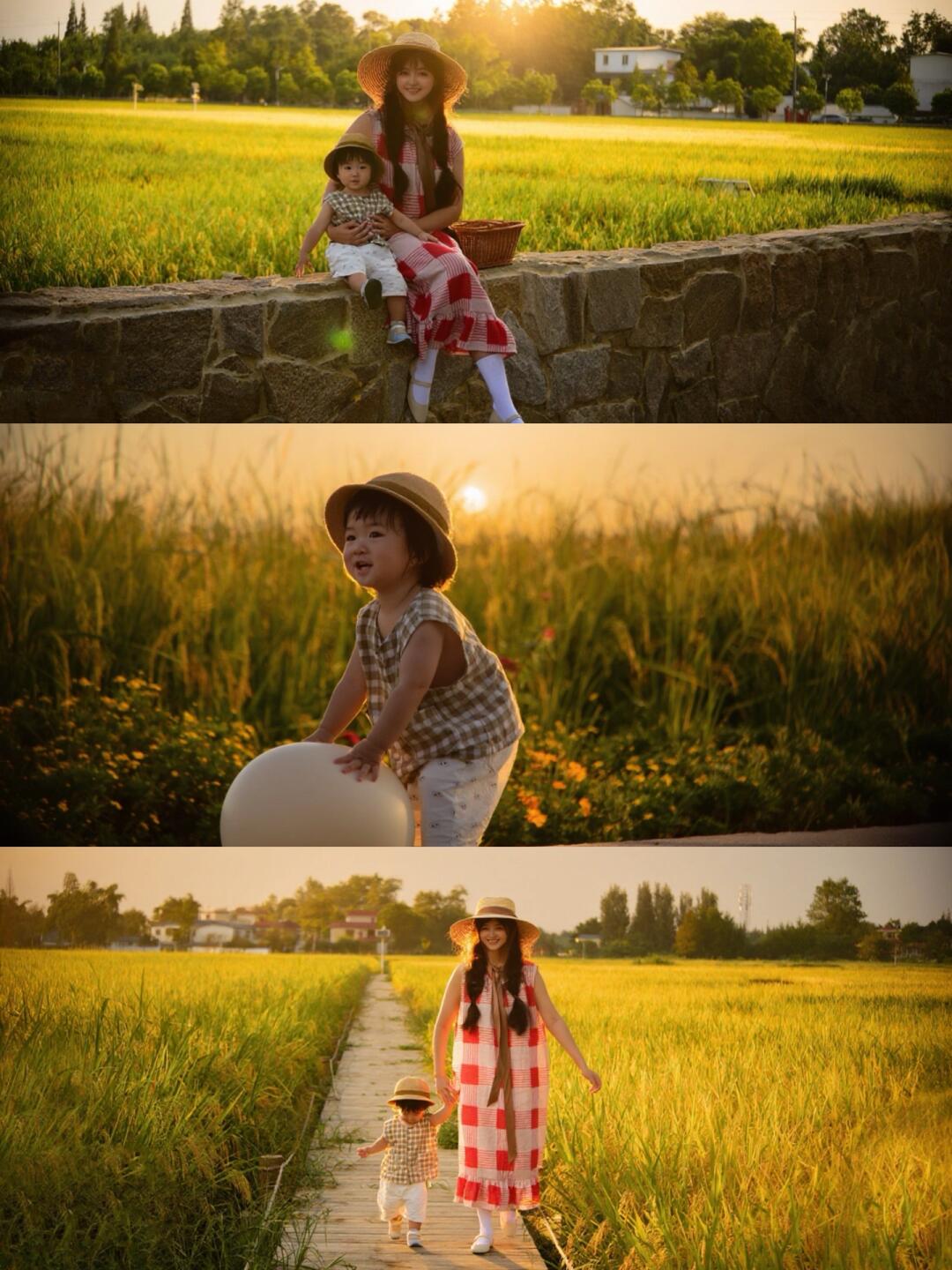 成都的秋天｜又到了拍稻田的季节啦