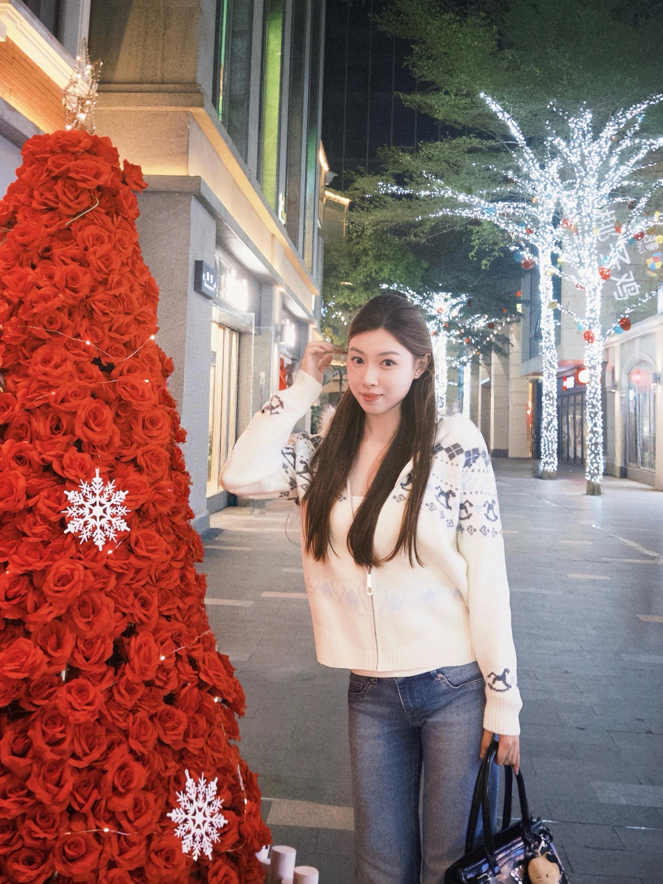 谁又骑着那鹿车飞过