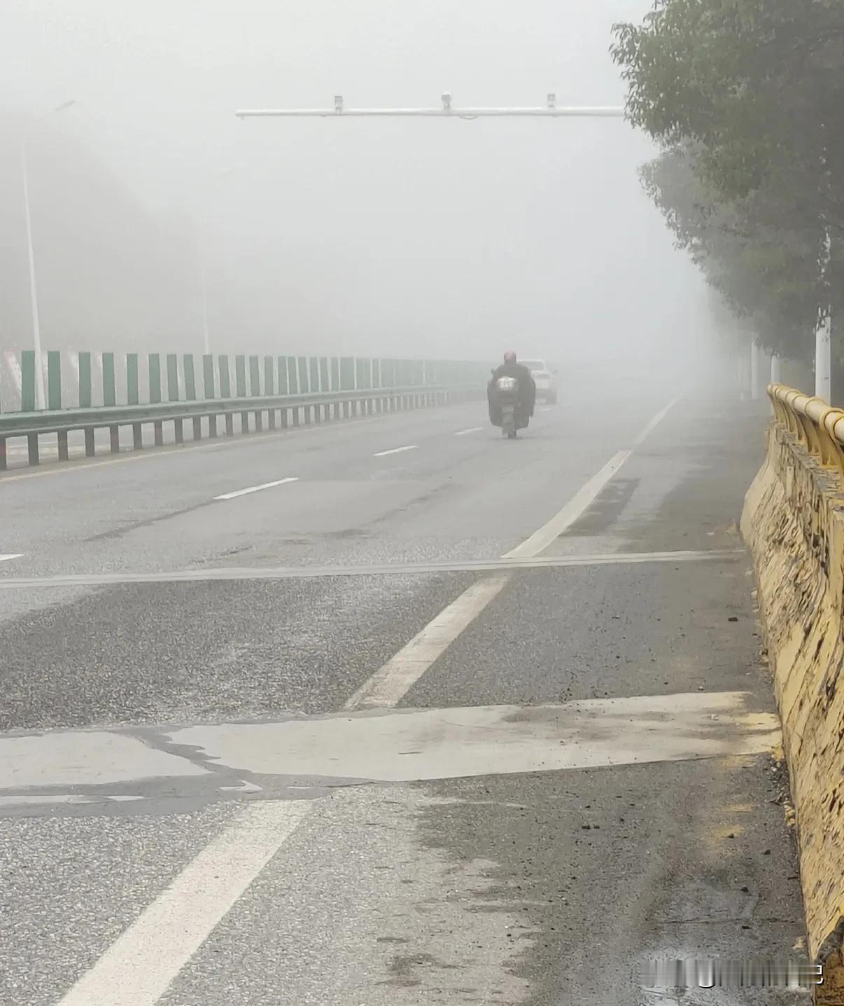 雾天骑车我是不敢骑快了，早上骑车上班，怎么根本看不见前面的道路。

10米以内的