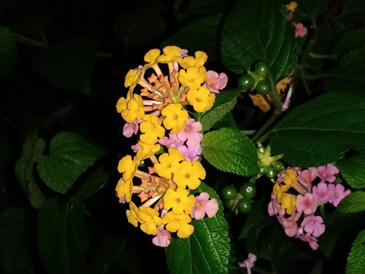 年轻的L老师说，
改份试卷，胸口痛。
我以为只有我们四十多岁的老师
会感觉心脏不