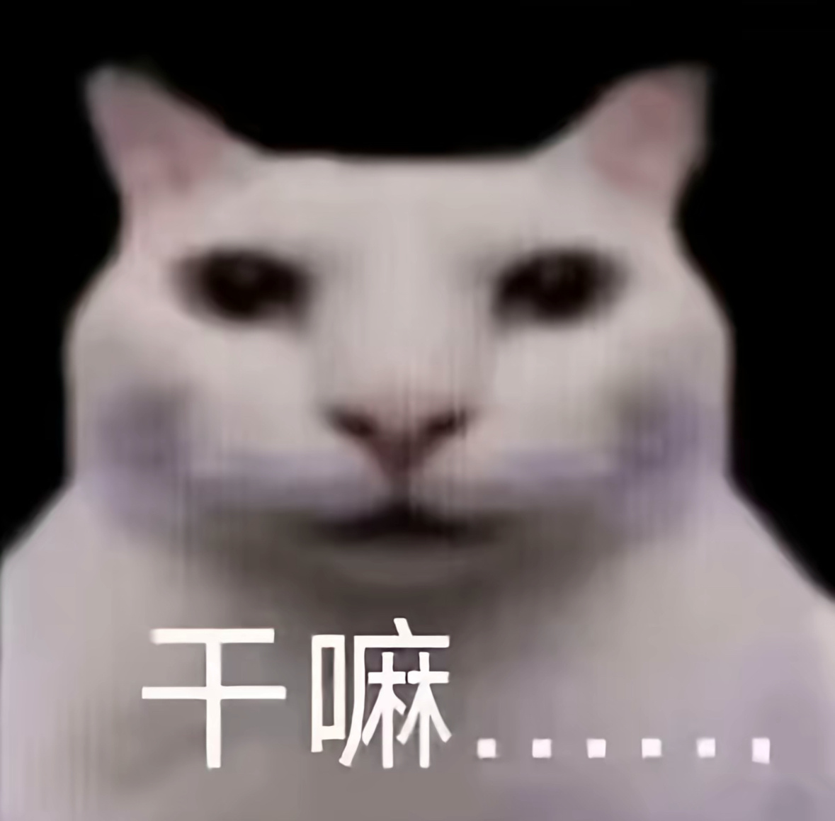 为什么一定要发老傻子文案捞帖才不会被折叠 ​​​