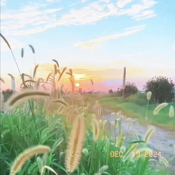 2024年快要结束了，这一年有太多的回忆，最美好的是相遇头条平台，记录美好时光，