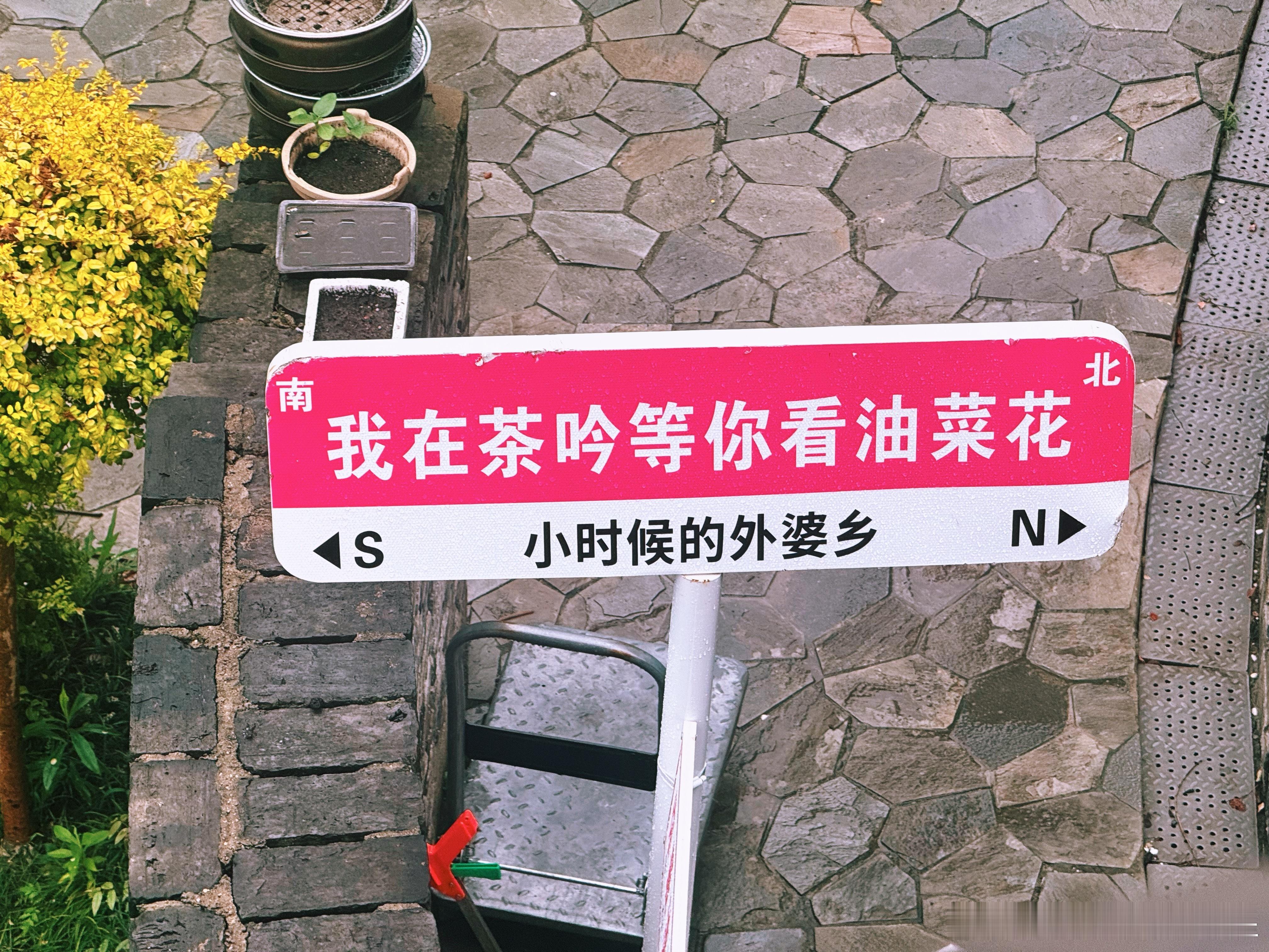大v聊车自媒体运营我和汽车的日常全新智己l6 没有什么比下午喝茶更开心的事情了更