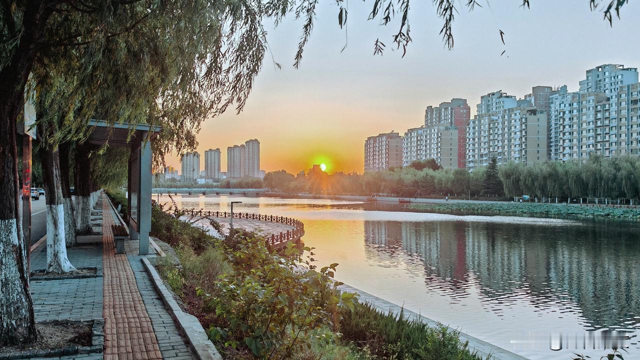 抱龙河岸的柳树垂落成行，在晚霞中仿佛被点燃的绿色诗行，每一片叶子都镀着夕阳的金粉