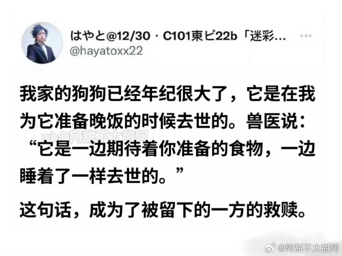 小狗在期待的幸福中永远睡去了[泪] ​​​