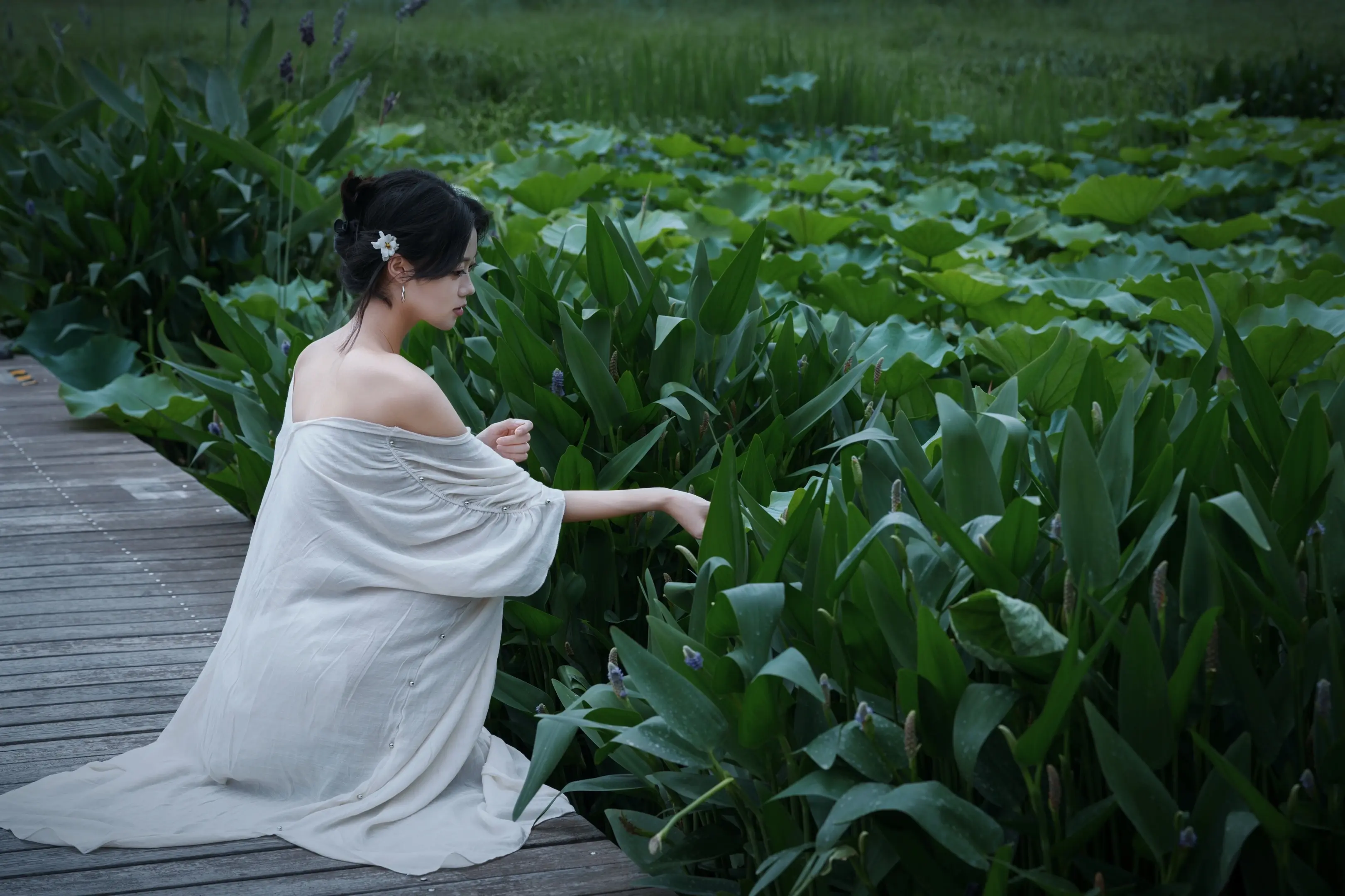 早知道苦无尽 我也不求甜.