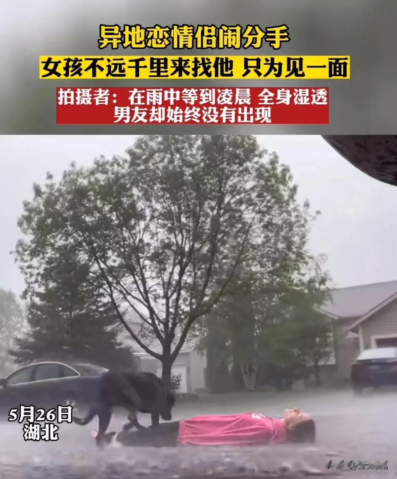 湖北，异地情侣闹分手，女孩不舍得，于是带着狗不远千里来找男友求复合！可是男友连一
