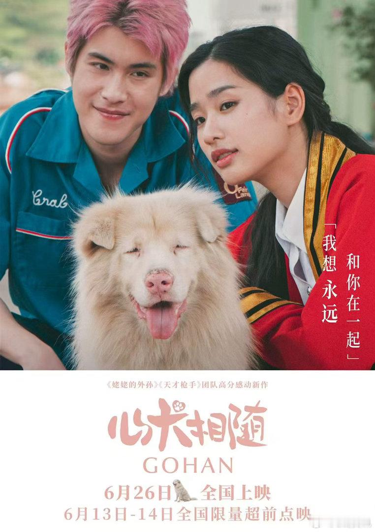 电影心犬相随小狗人你礼貌吗 《姥姥的外孙》《天才枪手》原班人马高分新作《心犬相随