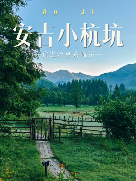 🍃安吉小杭坑｜远离喧嚣，住进治愈系喵屋