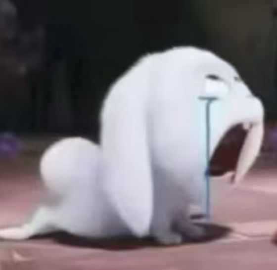 完蛋了 