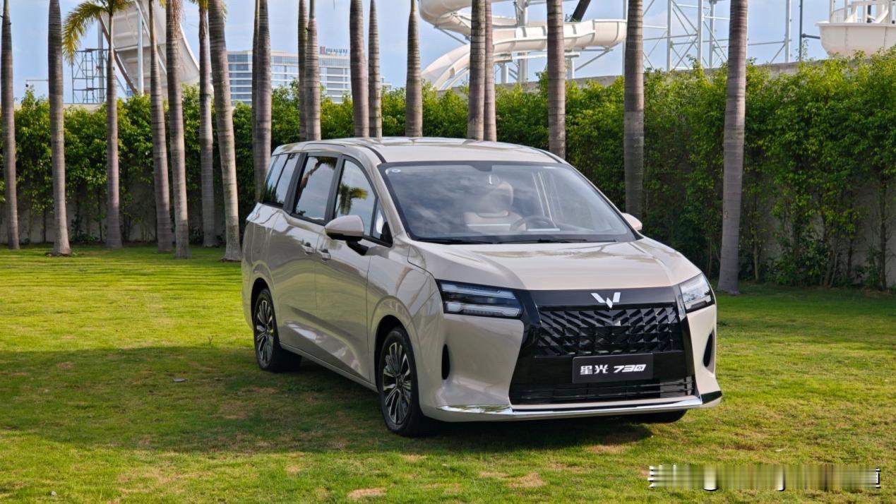 800万“神车基因”延续，星光730预订开启。
 
要说洞察用户需求能力突出的品