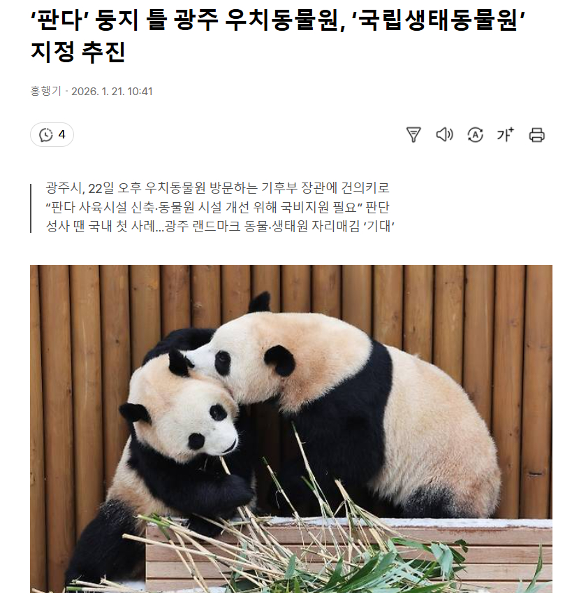 【韩国光州市为迎接中国大熊猫安家，正推进将市立牛峙动物园指定为国立生态动物园】热