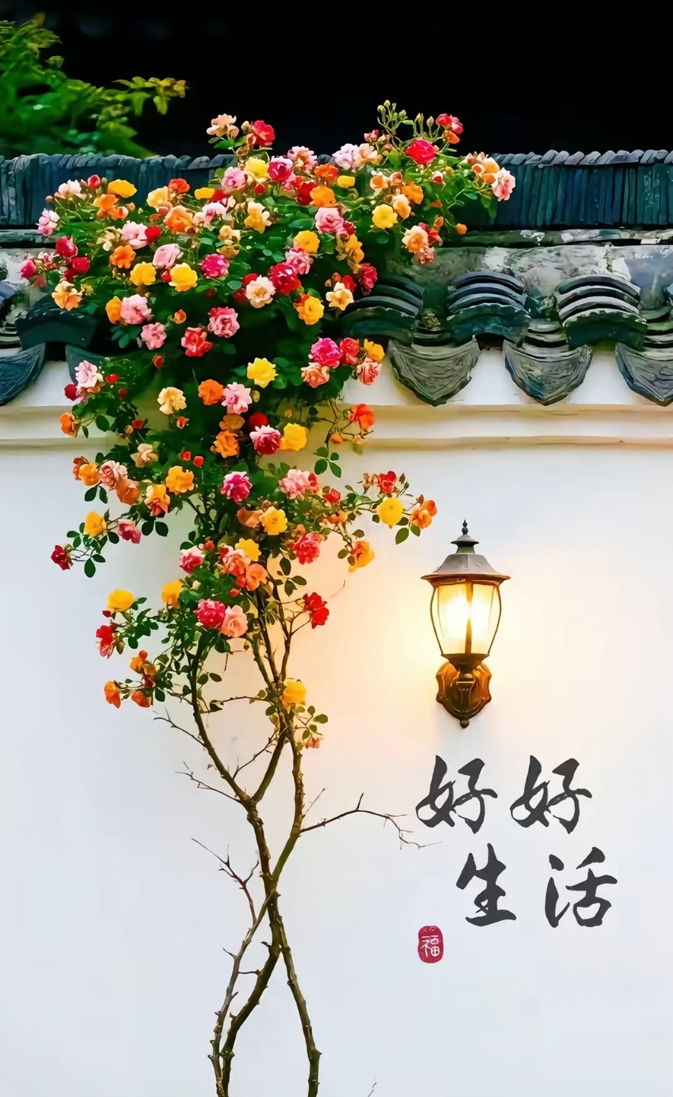 晨光慢慢铺展开来，新的一天自带力量。不必焦虑还未发生的事，把心态稳住，认真对待眼