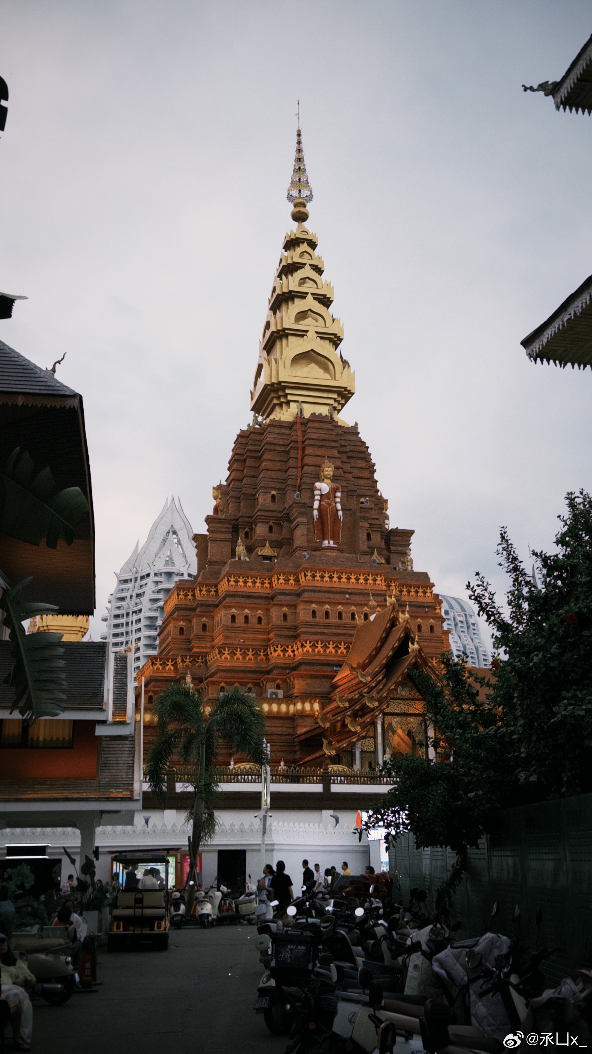 分享图片 景洪·告庄星光夜市