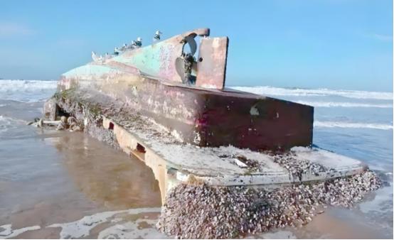 航母才是最大捕鱼船？一位从事了大半辈子海上捕捞作业的渔民表示：辽宁舰每次回港都会