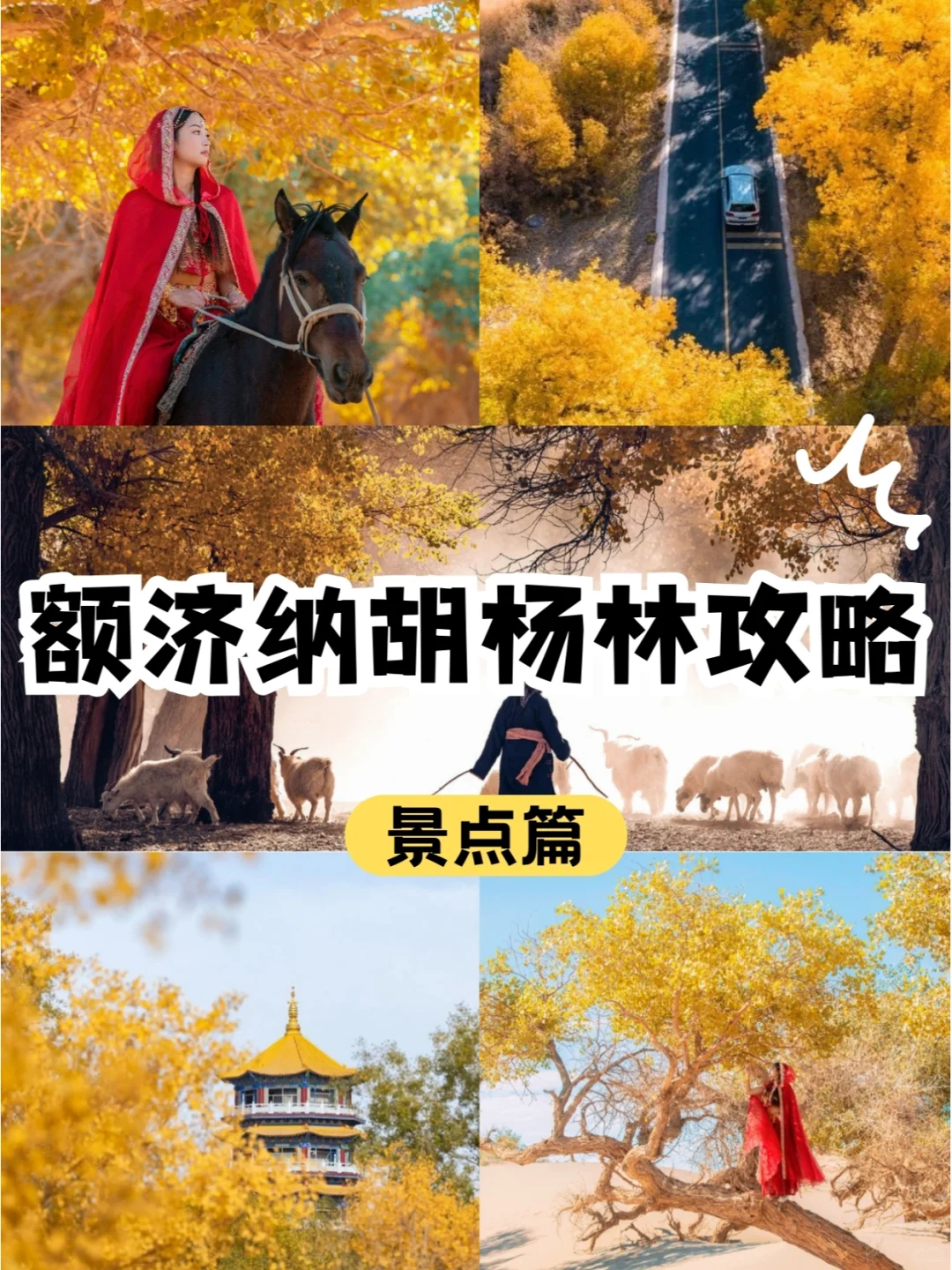 去额济纳玩什么❓一篇笔记告诉你🤗超全✅