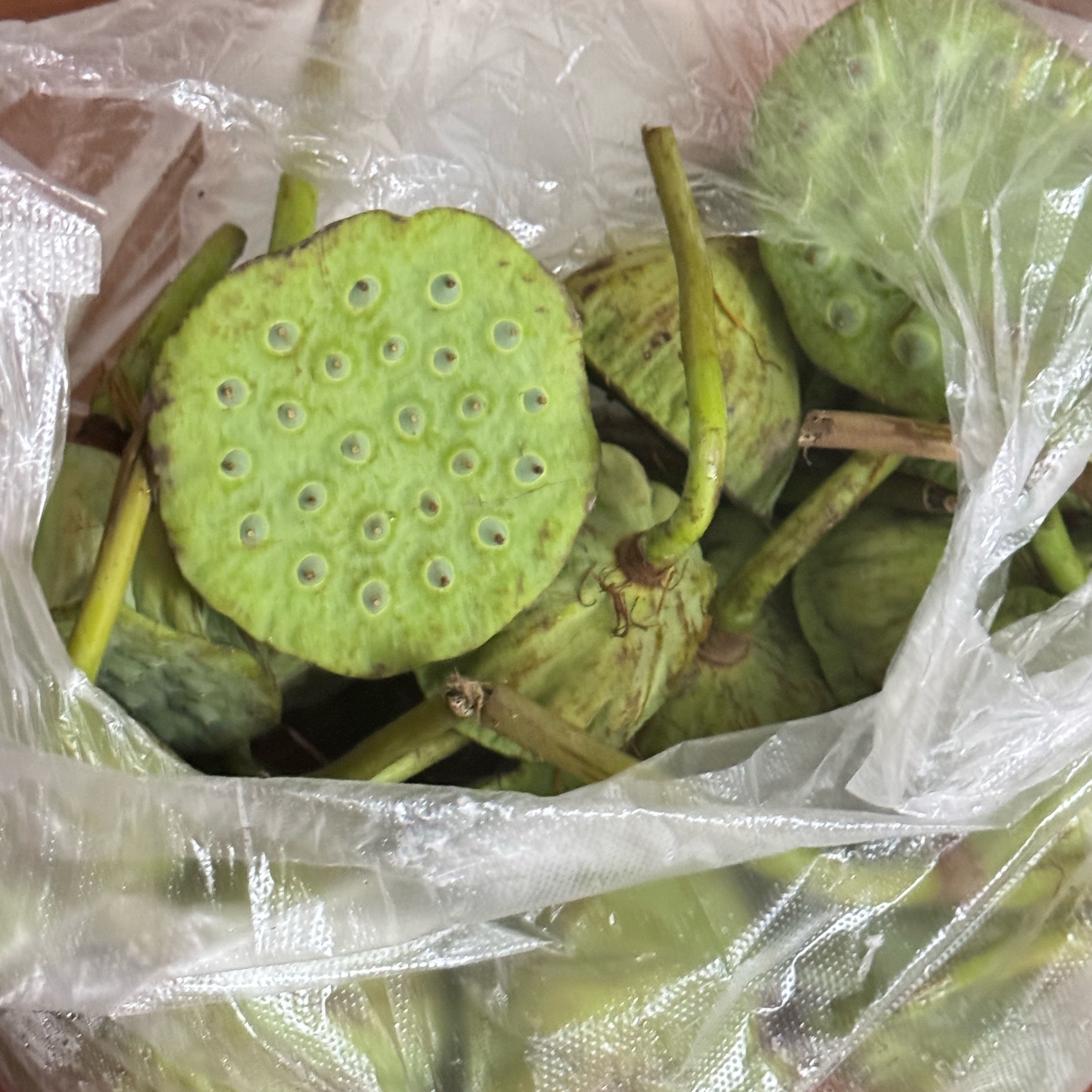 嘿嘿～吃上了这个